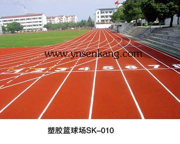 塑膠籃球場(chǎng)SK-010